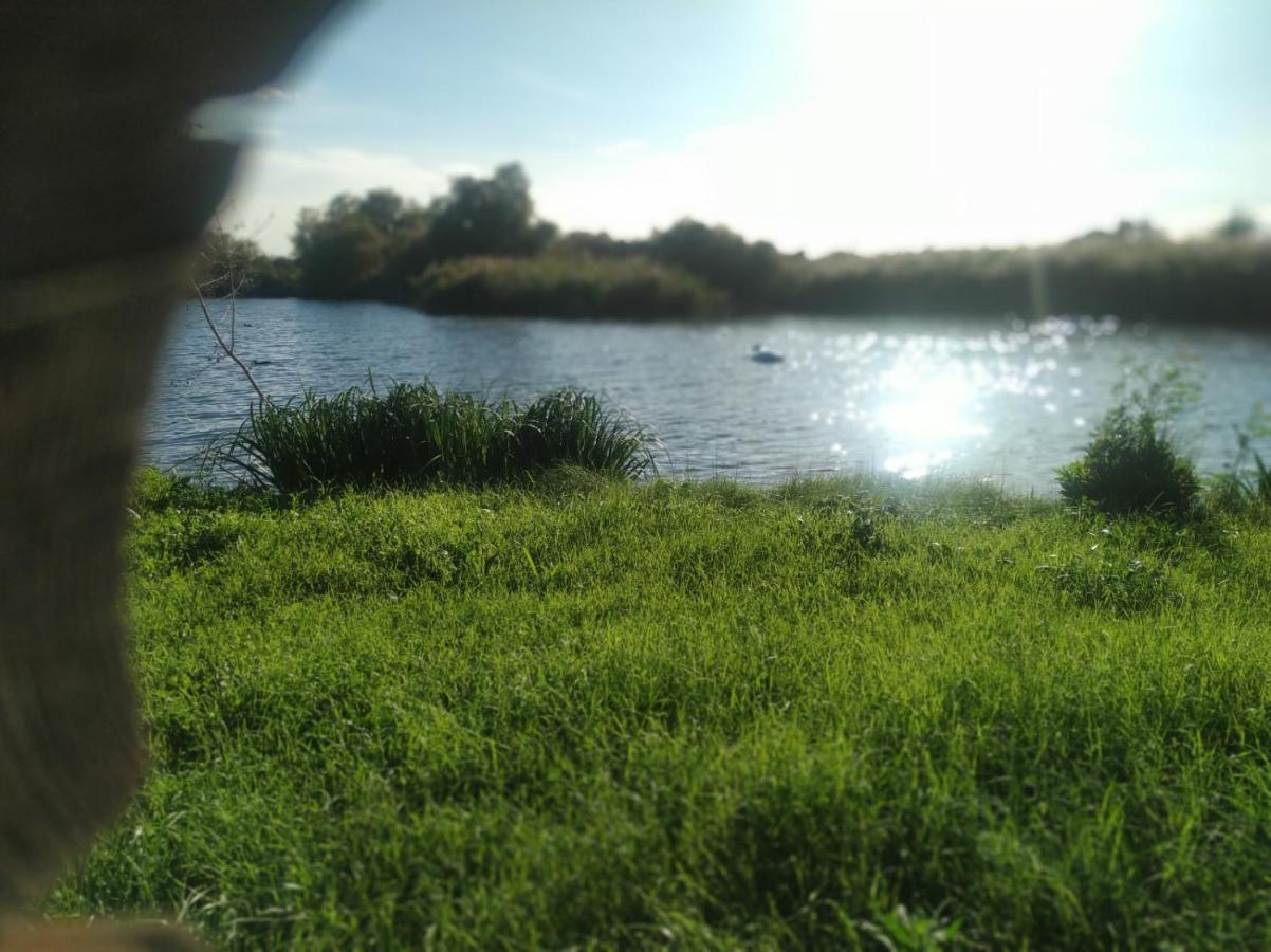 Dinasty * Ampuriabrava