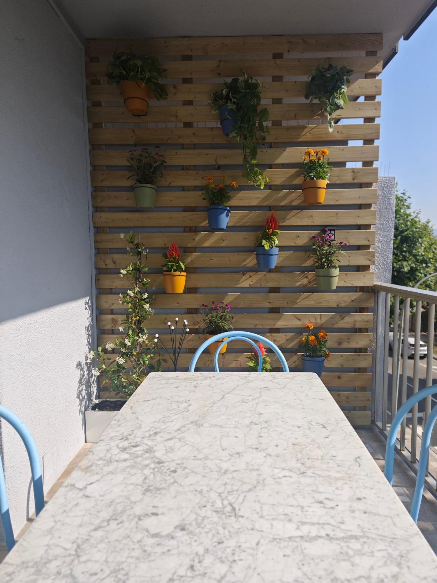 Apartamento Dinasty