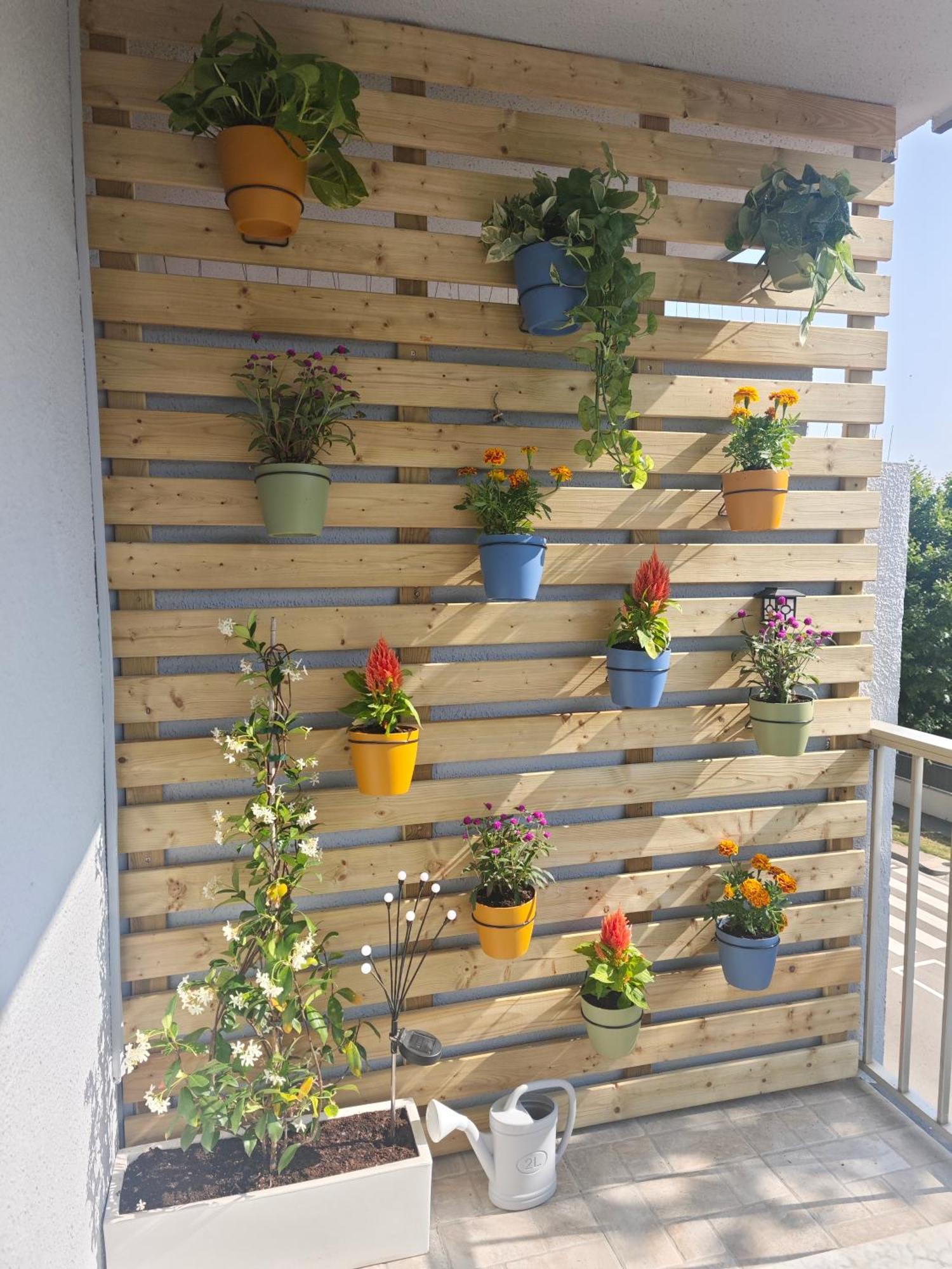 Apartamento Dinasty